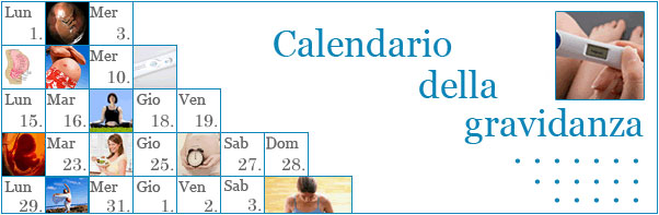 Il calendario della gravidanza Miobambino.it