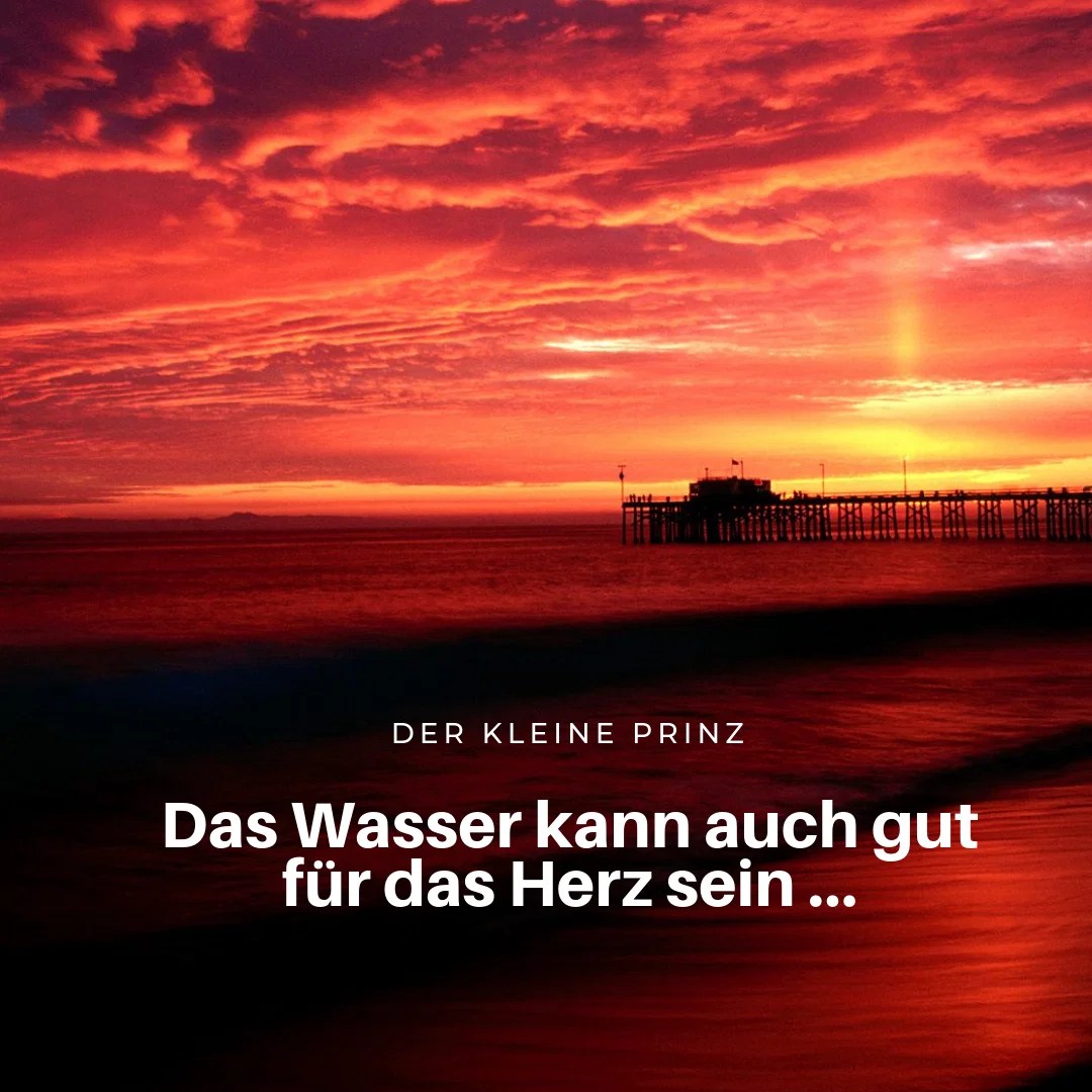 Der Kleine Prinz Zitate Kunst Verbindet Menschen