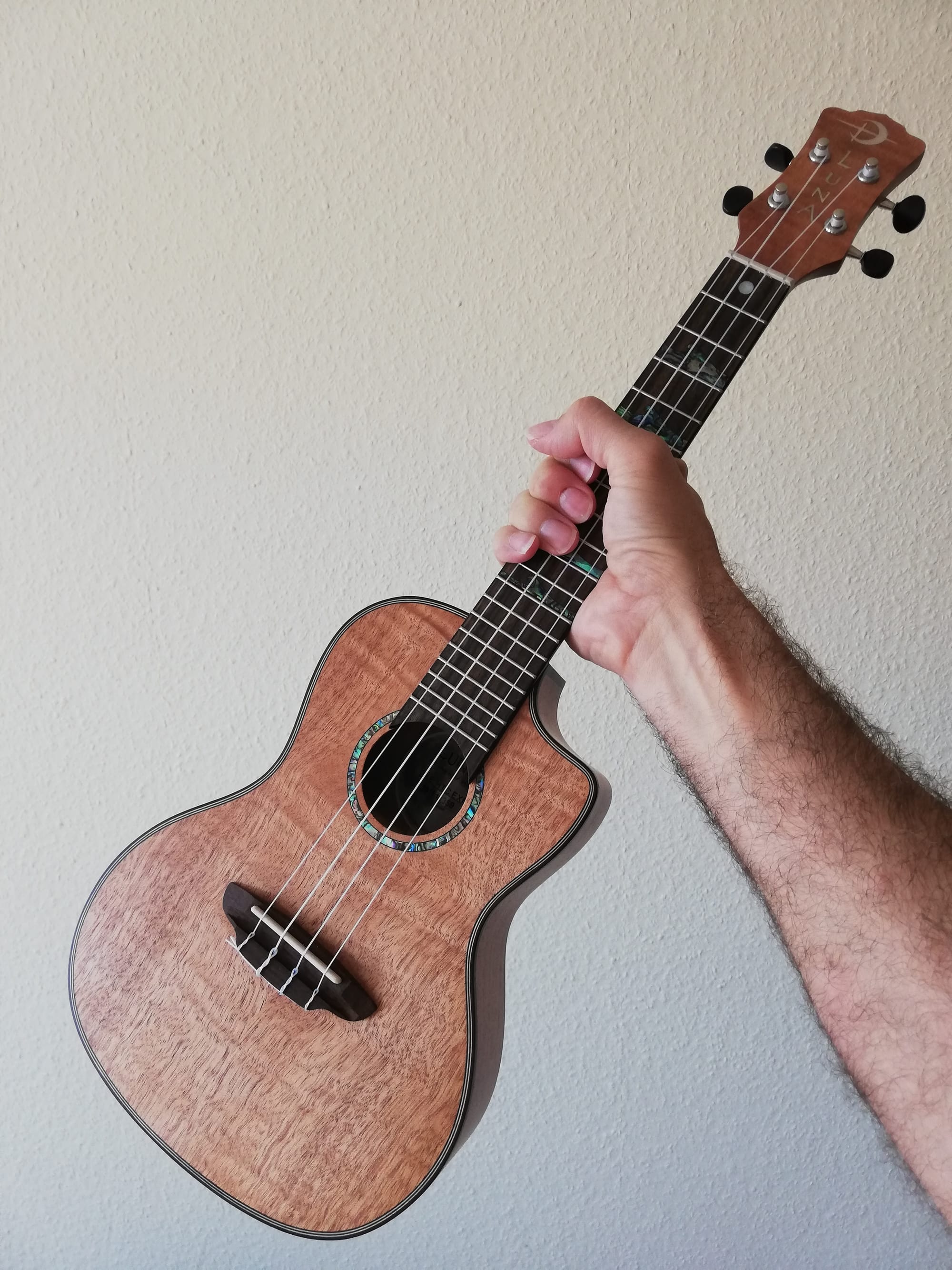 Die Ukulele Modelle und Beschreibung clauskrogmann.info