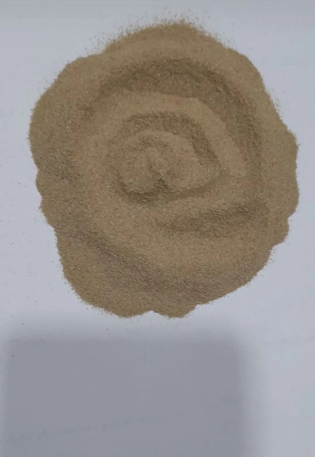 castor meal n 4/8 MSAF BIO ORGANICS PVT LTD