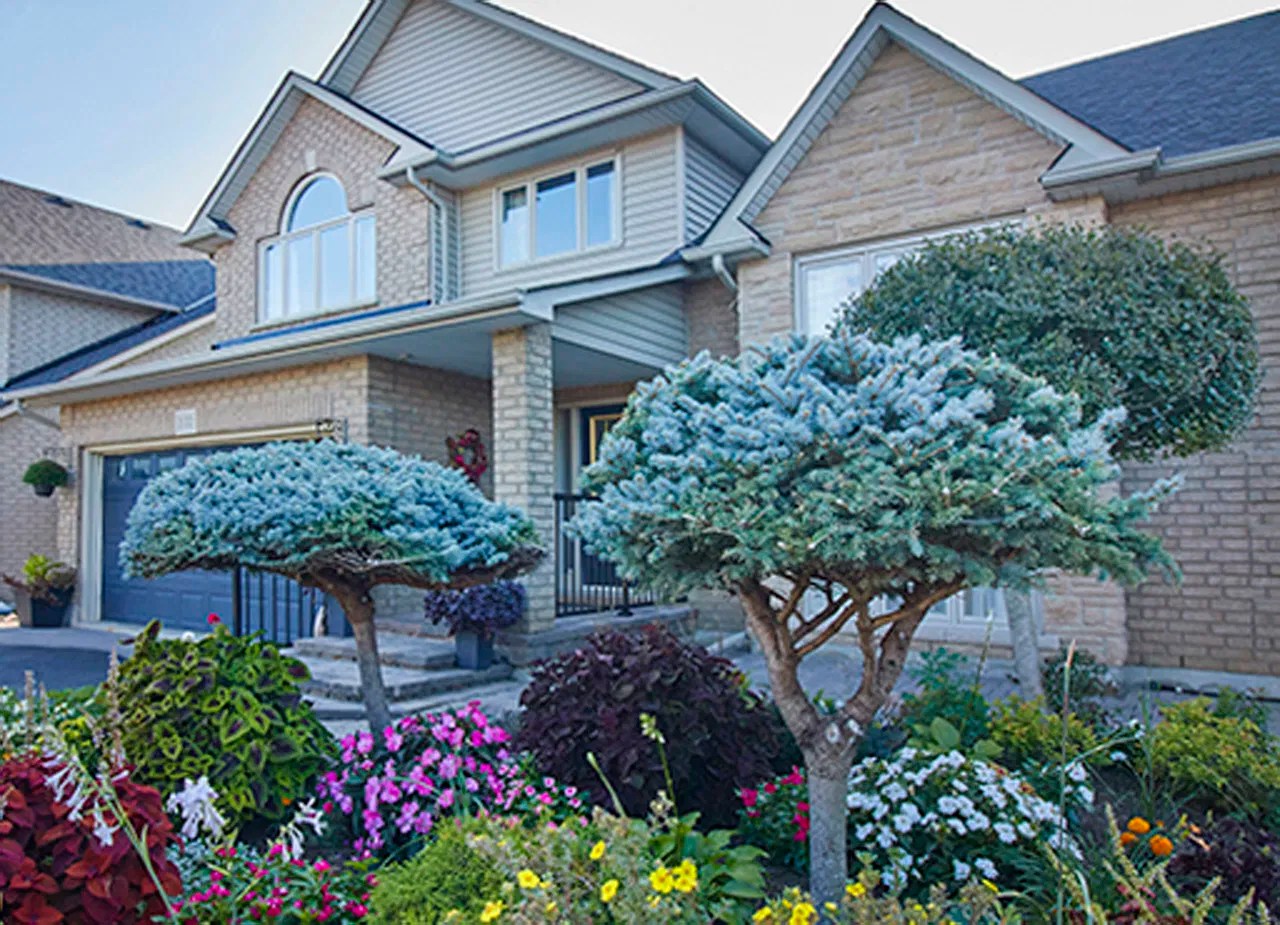 BLUE SKY REAL ESTATE PHOTO