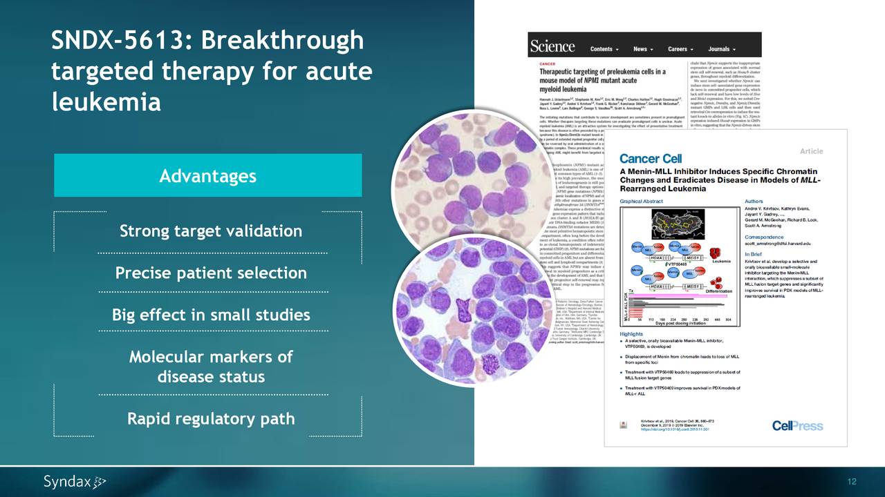 Syndax Pharmaceuticals (SNDX) Presents At Cowen Health Care Conference