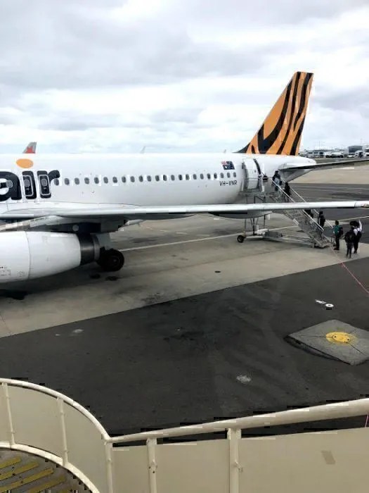 Is Tiger Air Any Good In 2018? A Review Sydney to Melbourne