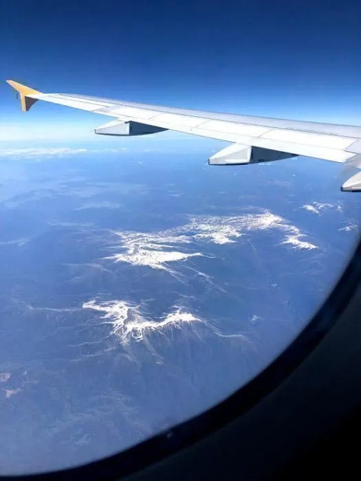 Is Tiger Air Any Good In 2018? A Review Sydney to Melbourne