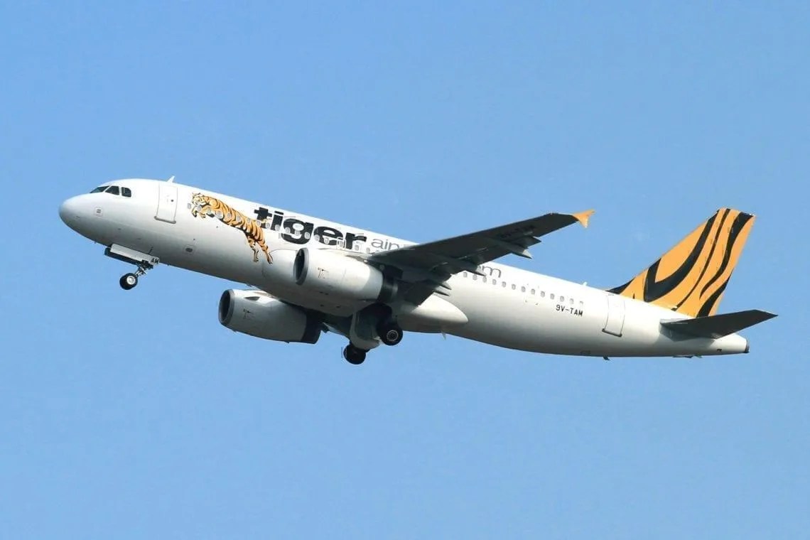 Is Tiger Air Any Good In 2018? A Review Sydney to Melbourne