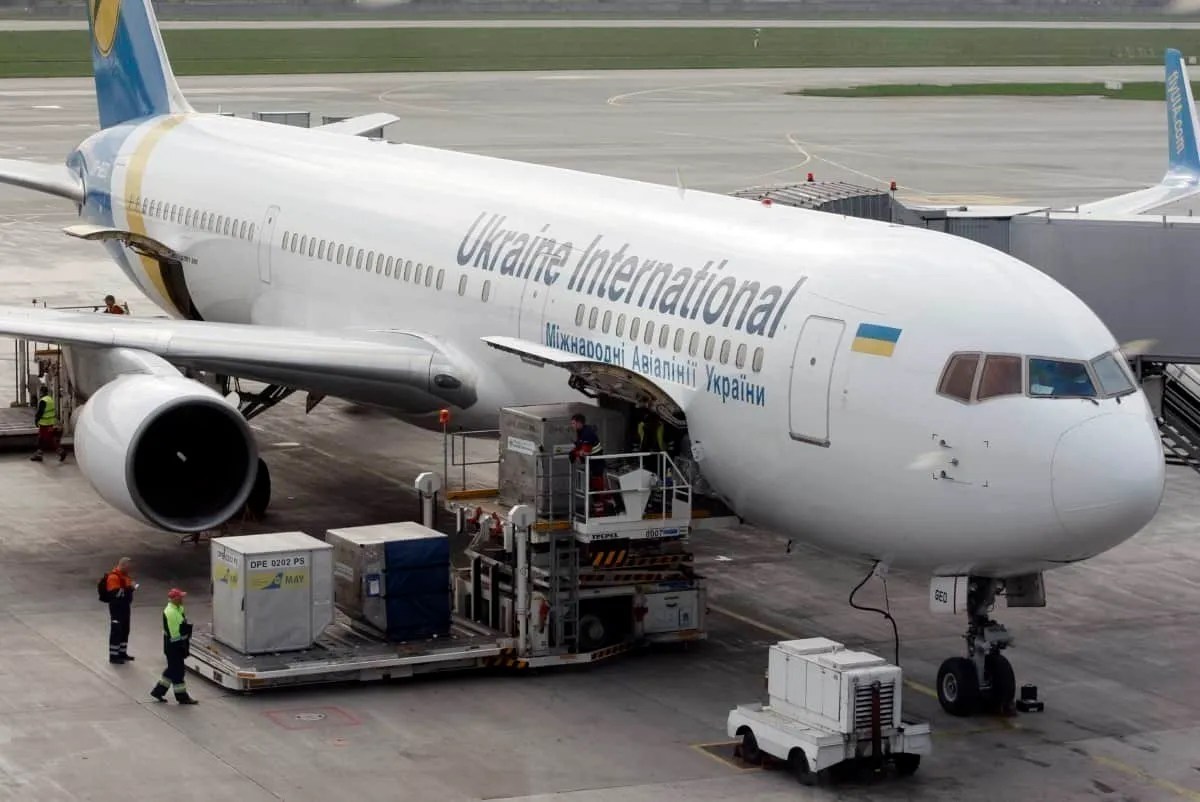 How Many Dogs Die While Flying