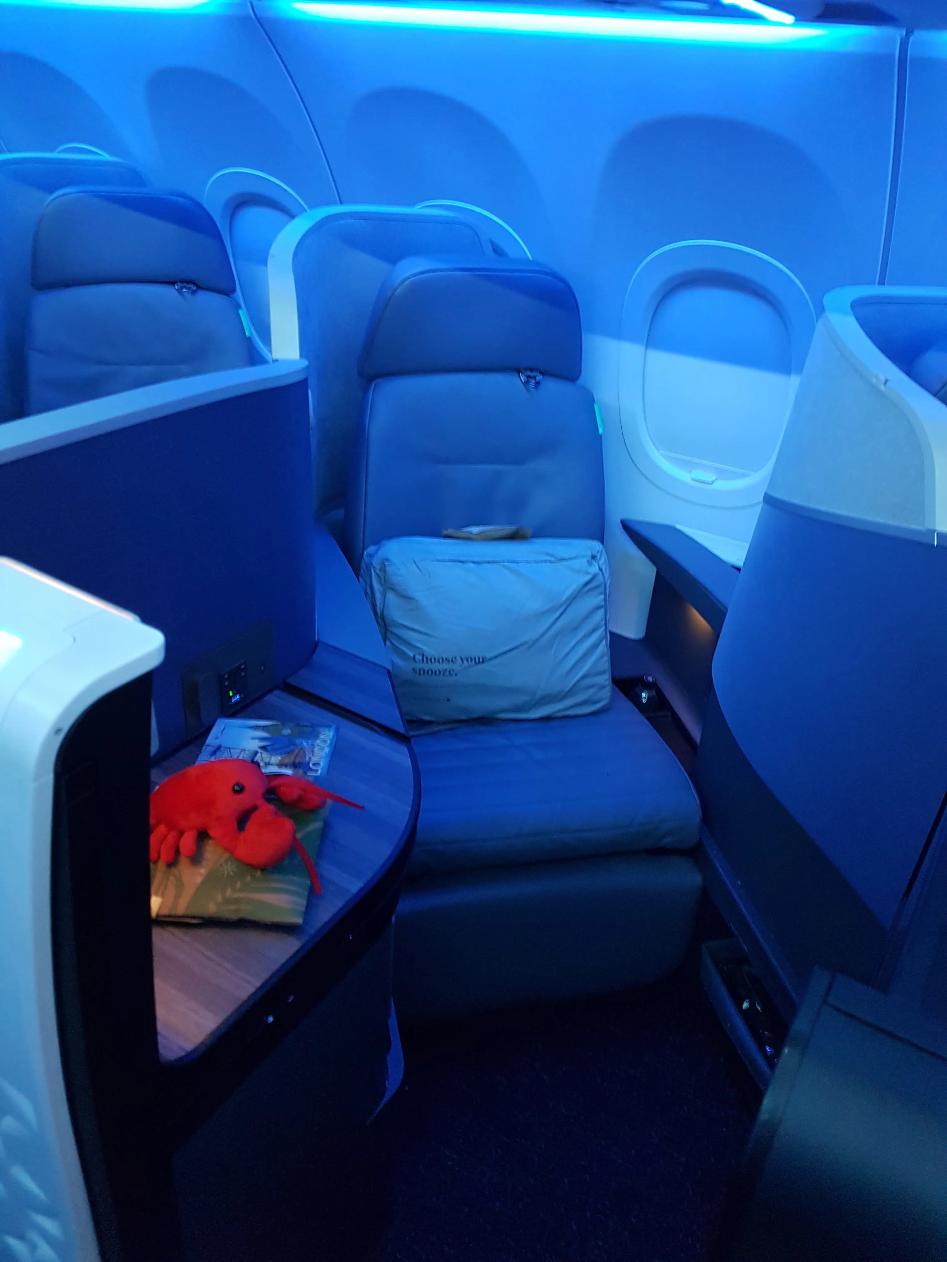 5 Weird & Wonderful Business Class Configurations From Around The World