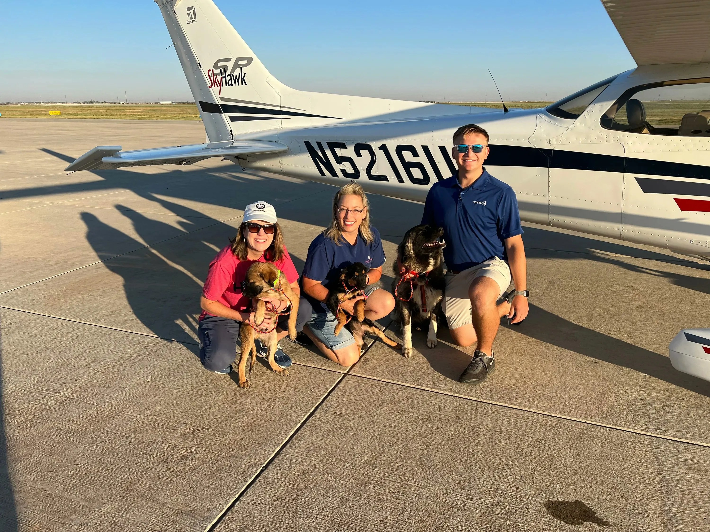 Pilots N Paws Rescuing Animals One Flight At A Time