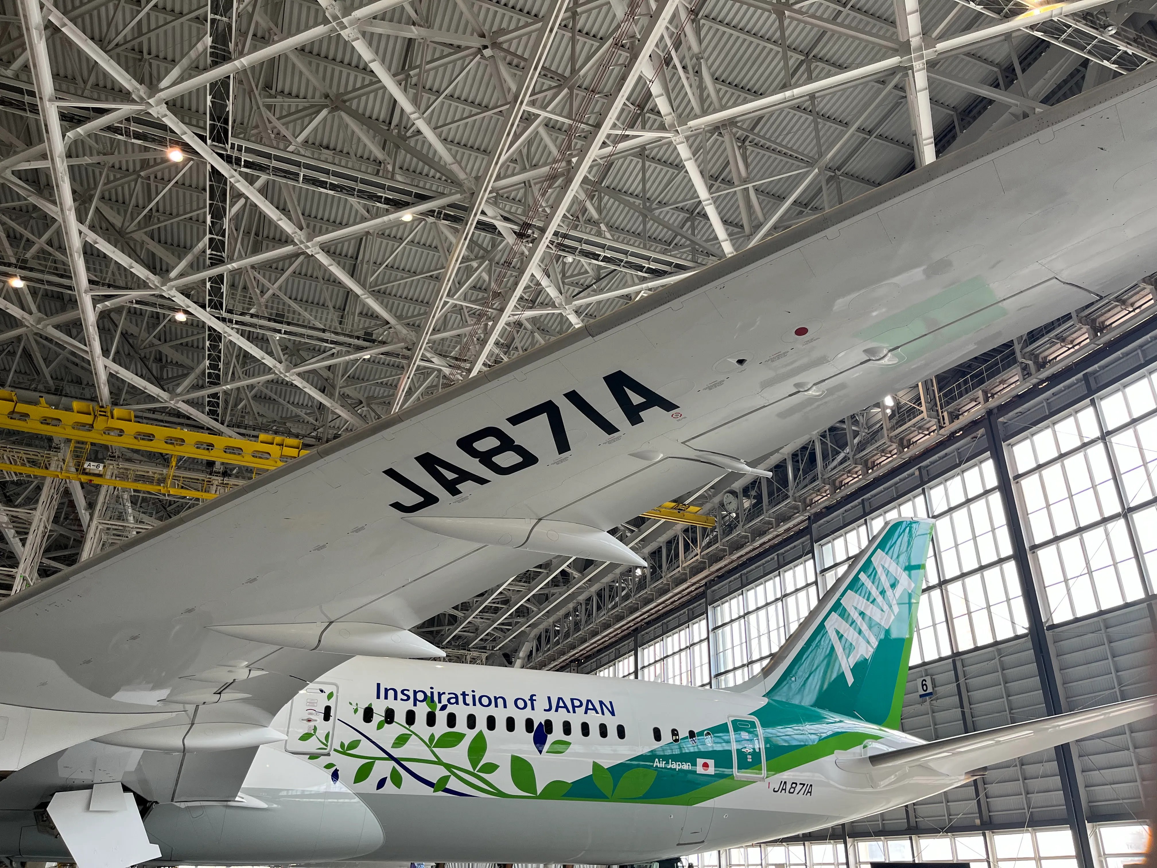 Shark Skin Technology, Vegan Leather: Meet ANA's Green Jet Boeing 787