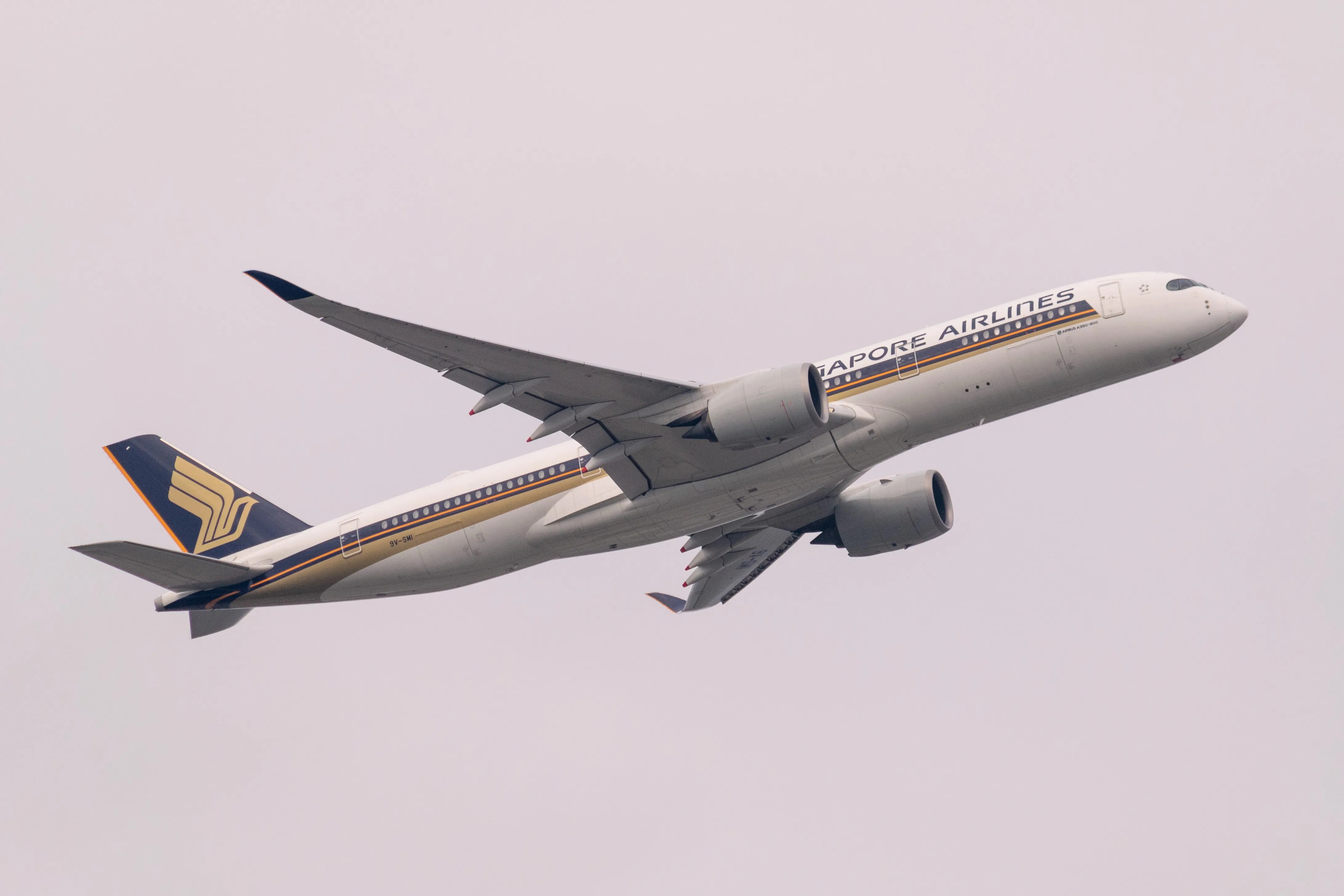 Singapore Airlines Baggage Fees Policy [2024 Update]
