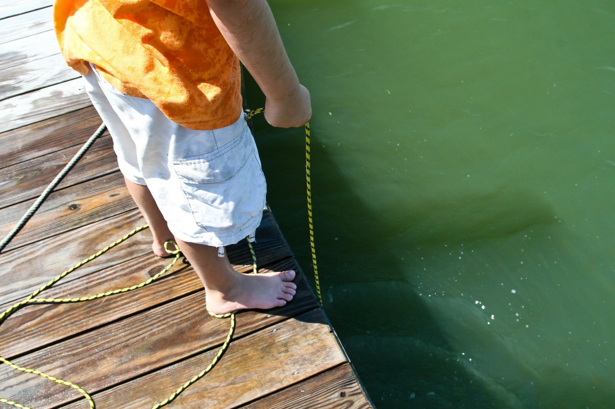 Throwing Marshmallows