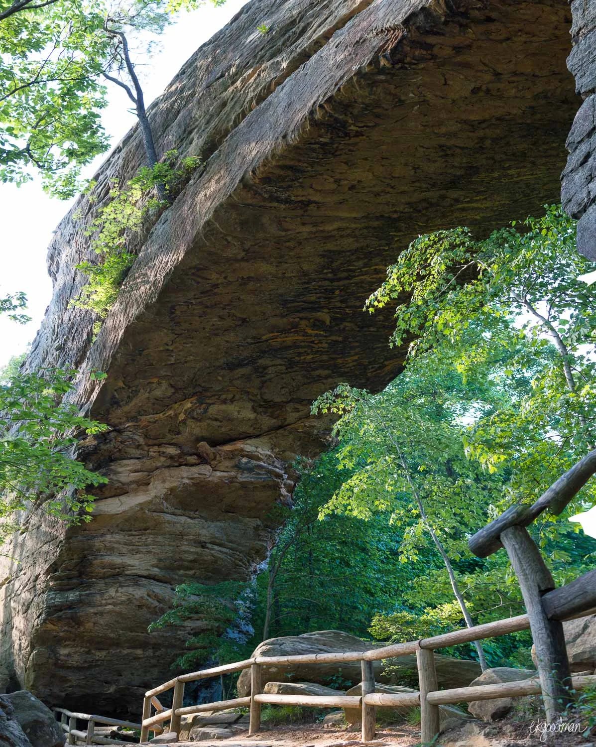 Carved into Stone the Natural Bridge in Red River Kentucky