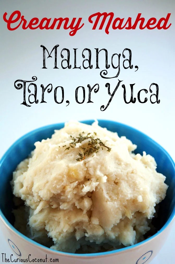 Mashed Malanga, Taro, or Yuca nightshadefree potato substitutes — The