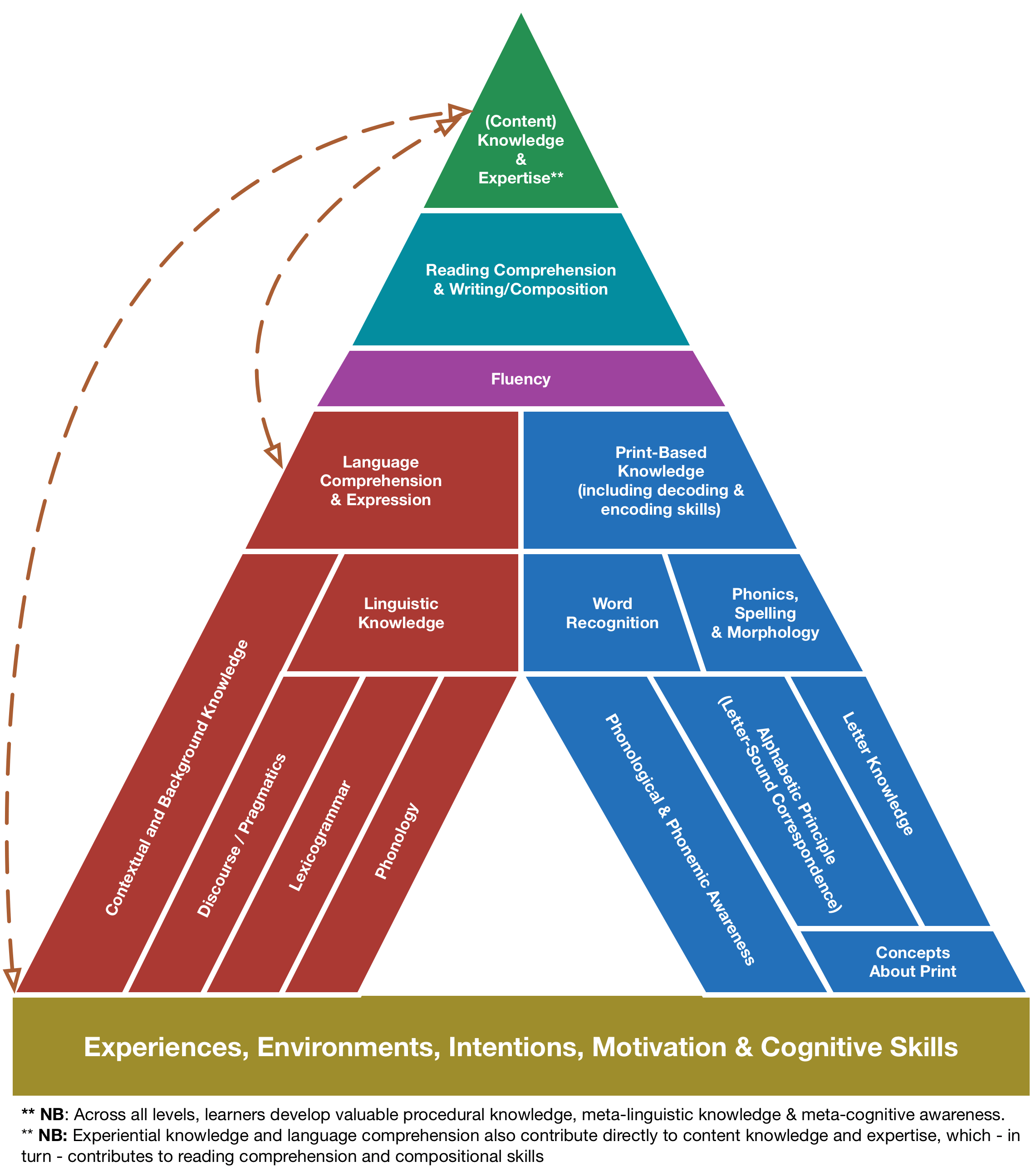 Developing Constrained Skills — The Literacy Bug