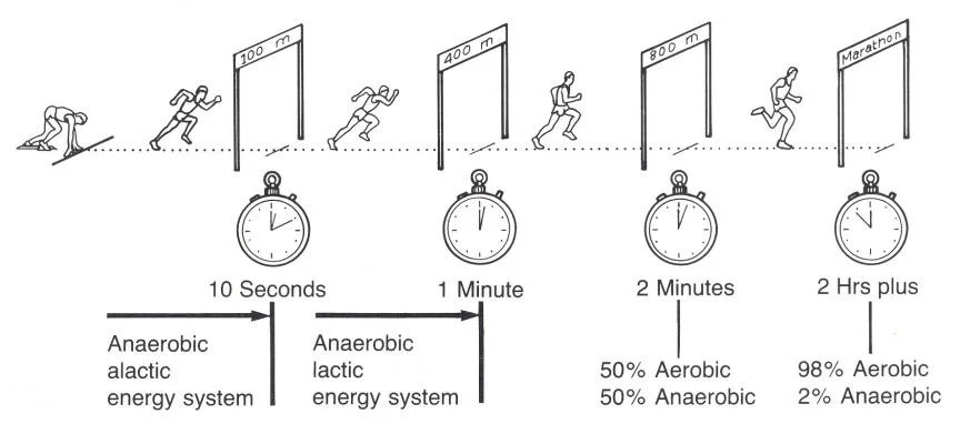 3 Ways to Get MORE From Your Conditioning — ALEX TANSKEY