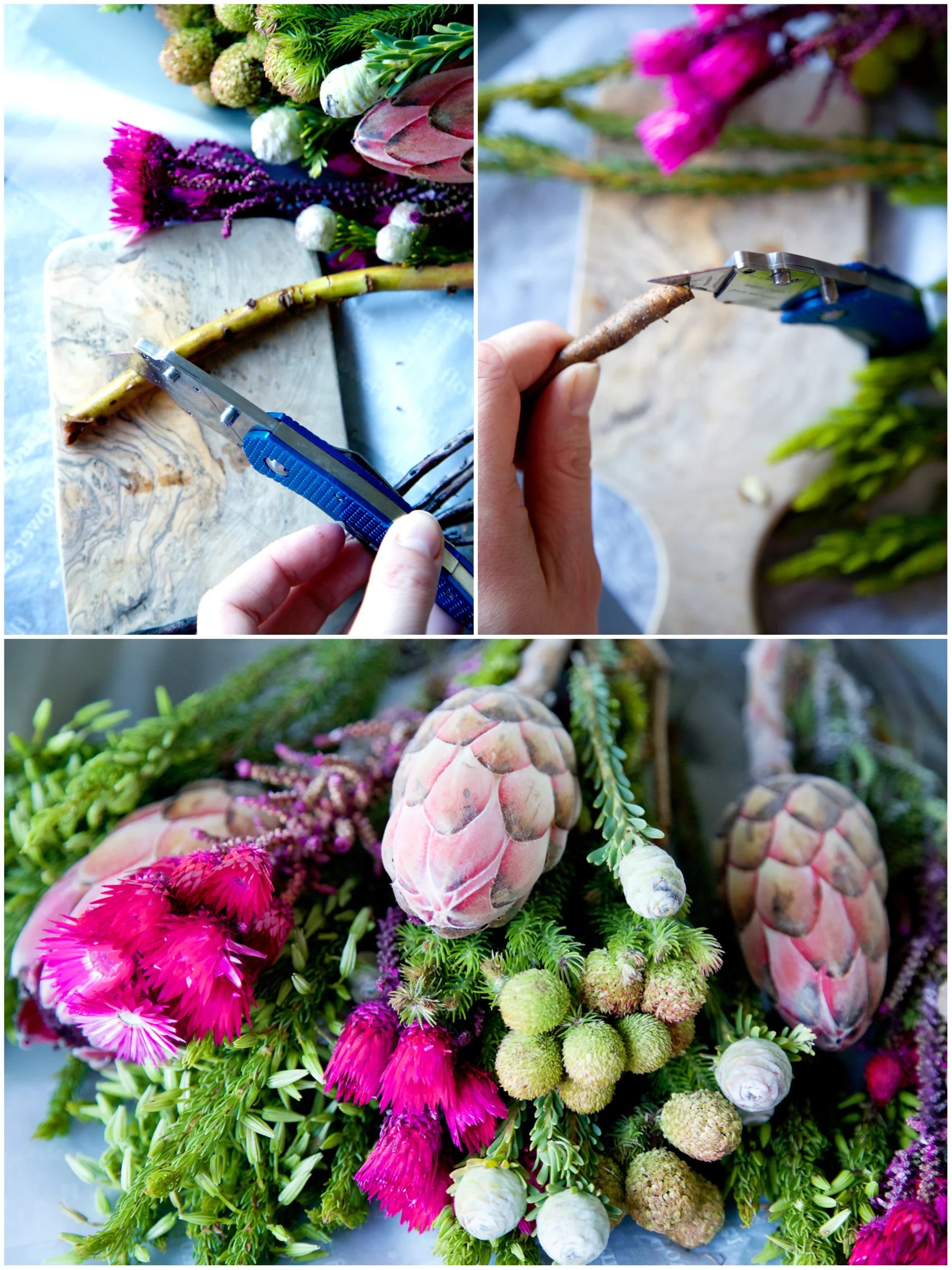 How to prepare flowers • woody stems • Capture by Lucy