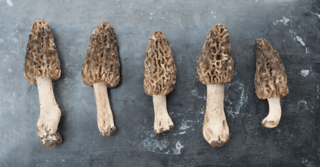 blog — the Ecology Box