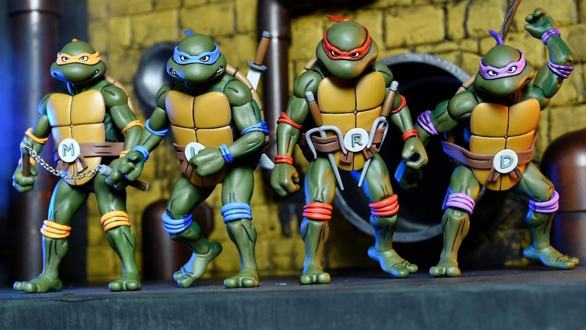 Radical TEENAGE MUTANT NINJA TURTLES Original Cartoon Action Figure Box