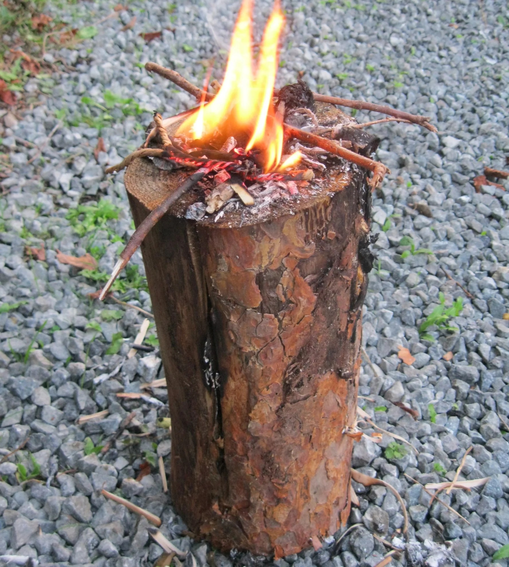 Swedish torch log — Ernest journal