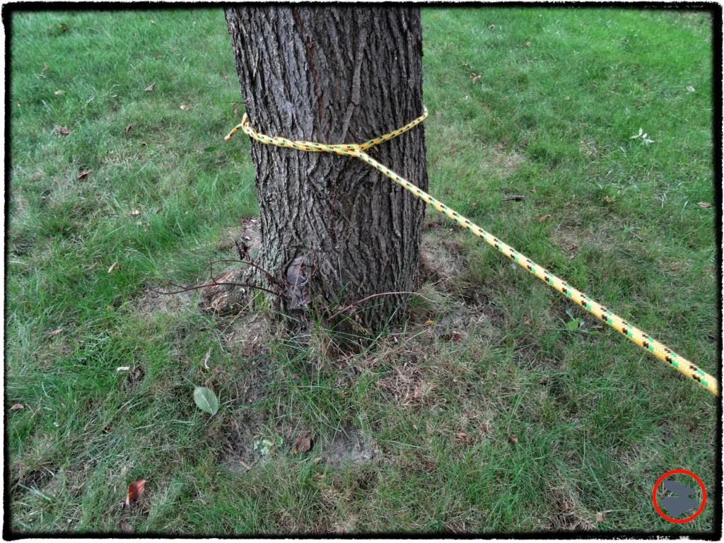 Timber Hitch The Unsung Campsite Hero! — Bull Moose Patrol