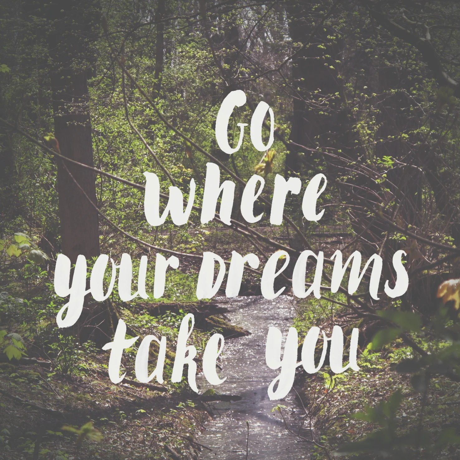 Quote Go where your dreams take you — No Ordinary Tales