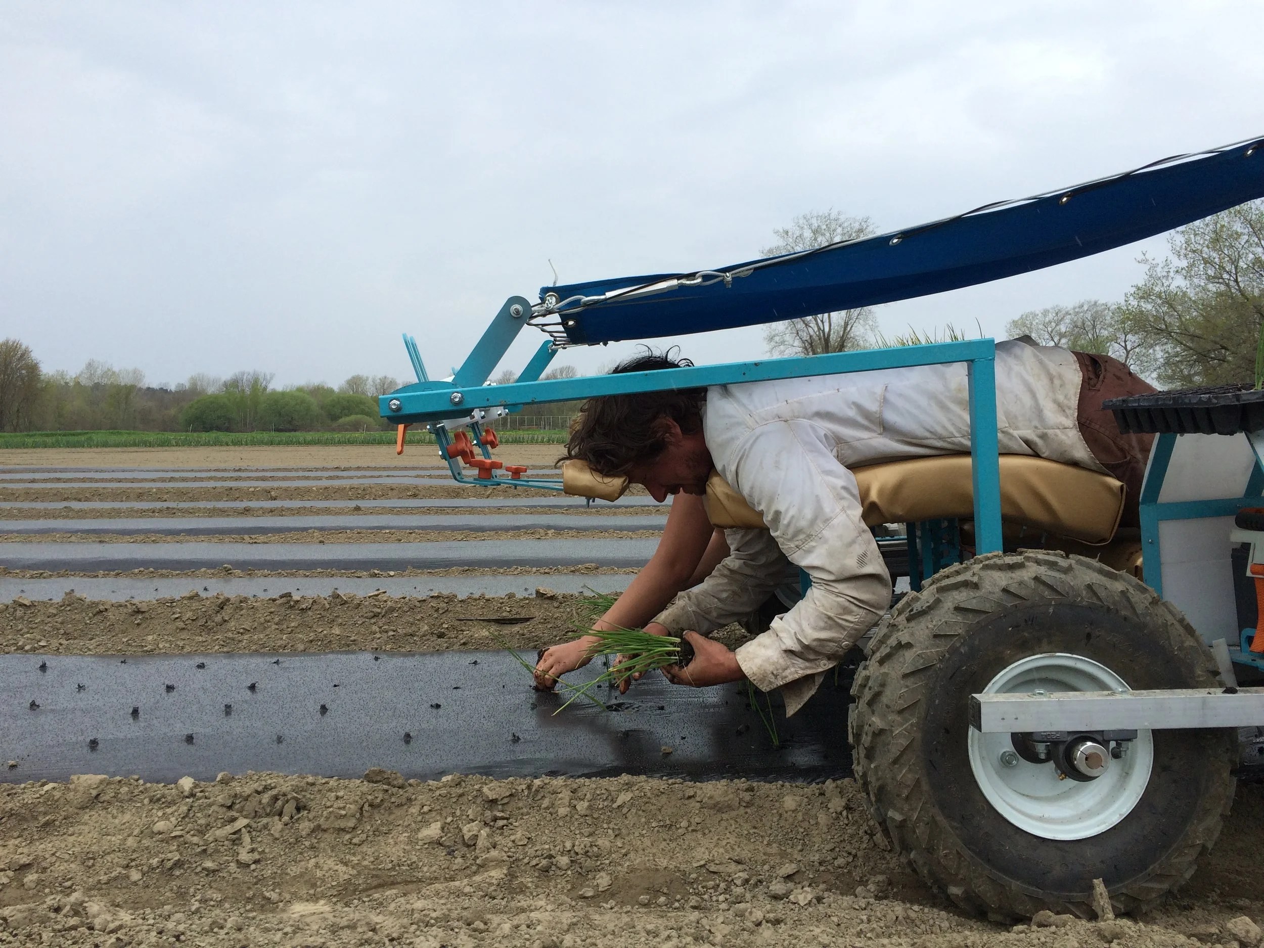 Pitchfork Farm Pitchfork Farm VT