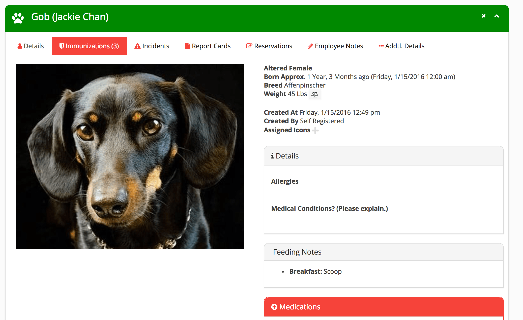 Modern dog daycare, pet boarding and grooming software webbased