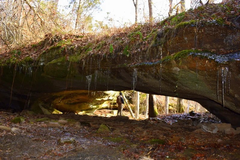 JonesKenney Wildlife Management Area Kentucky's First WMA — The