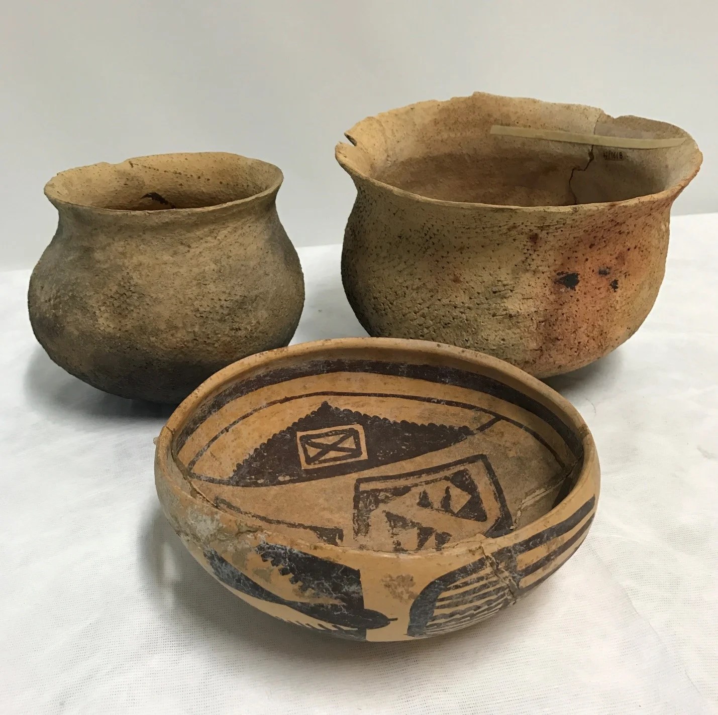 Treasures from the Basement Pottery of the Greater Ancient Southwest — Pacific Grove Museum of