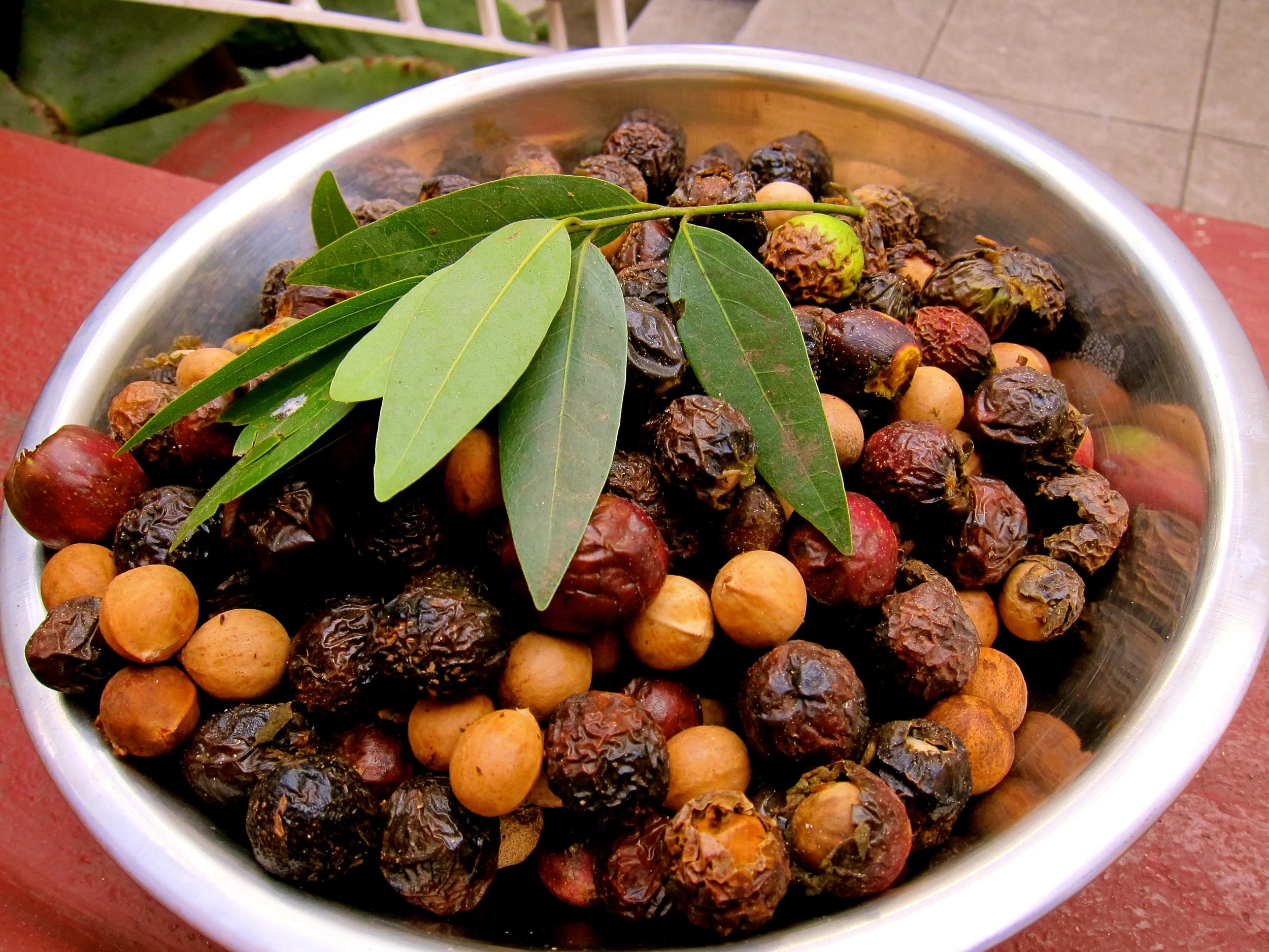 Bay Nuts — Rooted Food