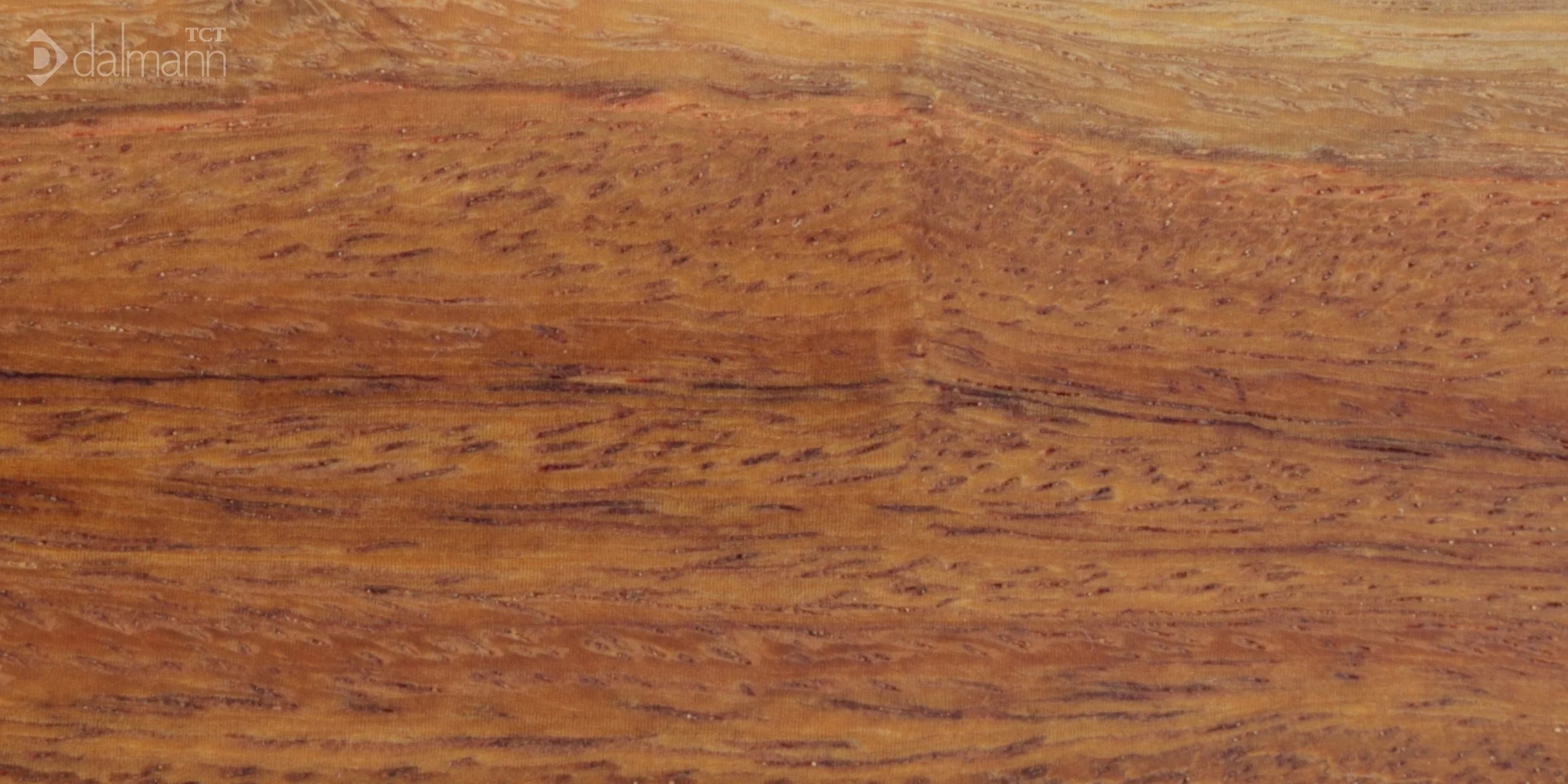 Wild Mango — Dalmann UK