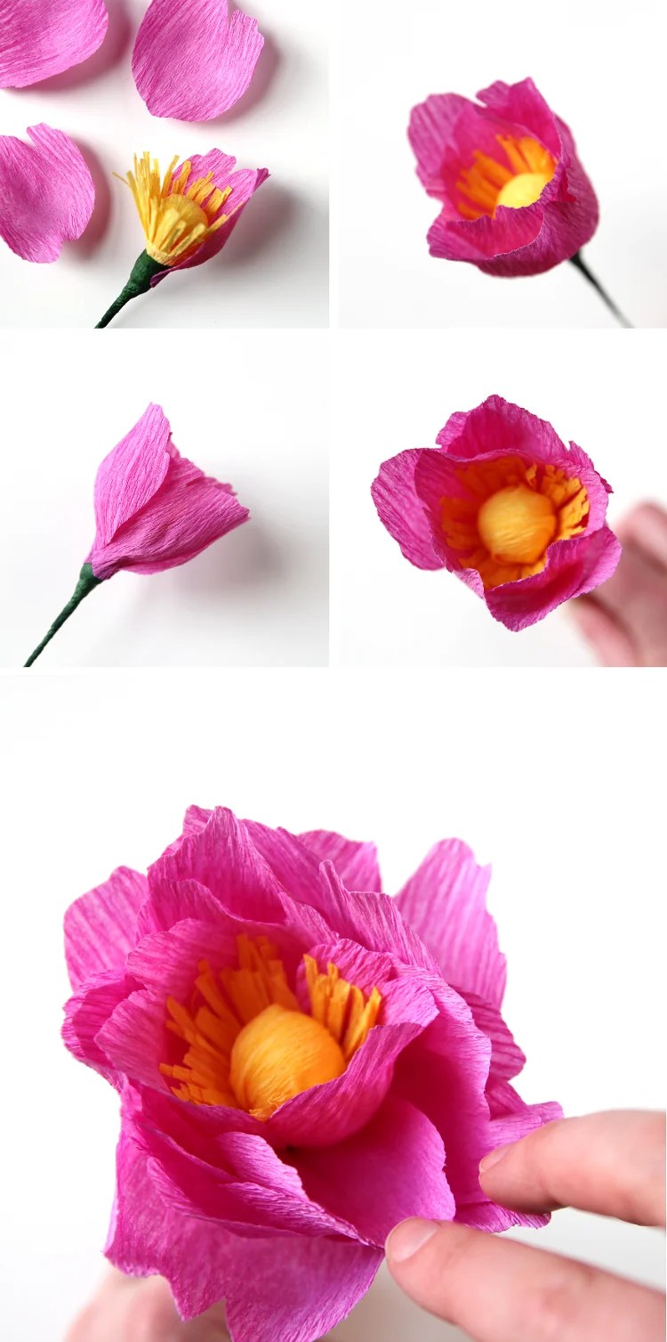 DIY CREPE PAPER PEONIES. — Gathering Beauty