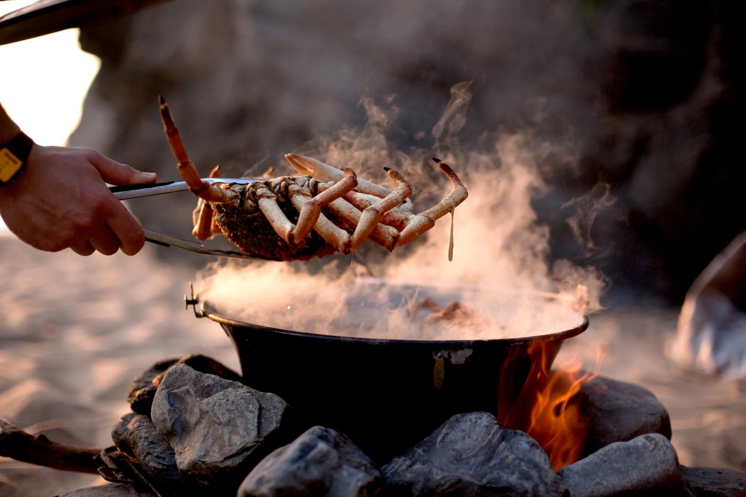 fforest Campfire cooking elemental