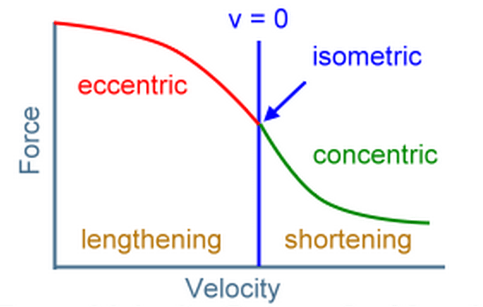 Flexibility for Tennis The Science and Application of