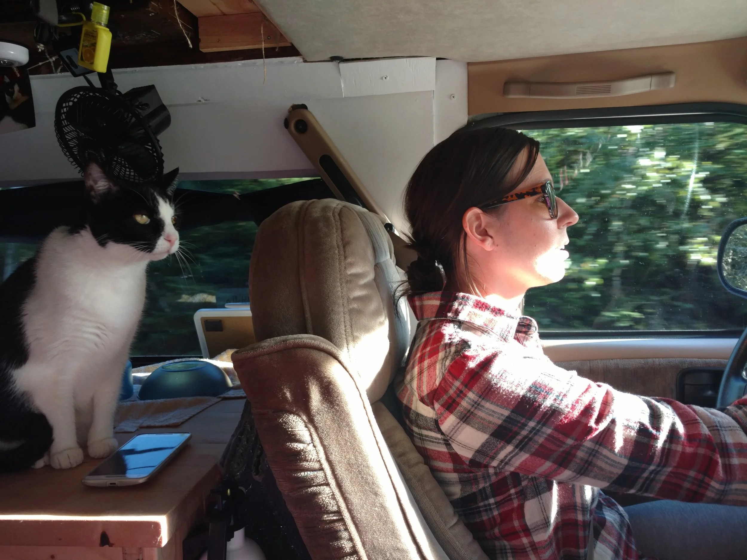 Guide to Vanlife with Cats — Vanlife