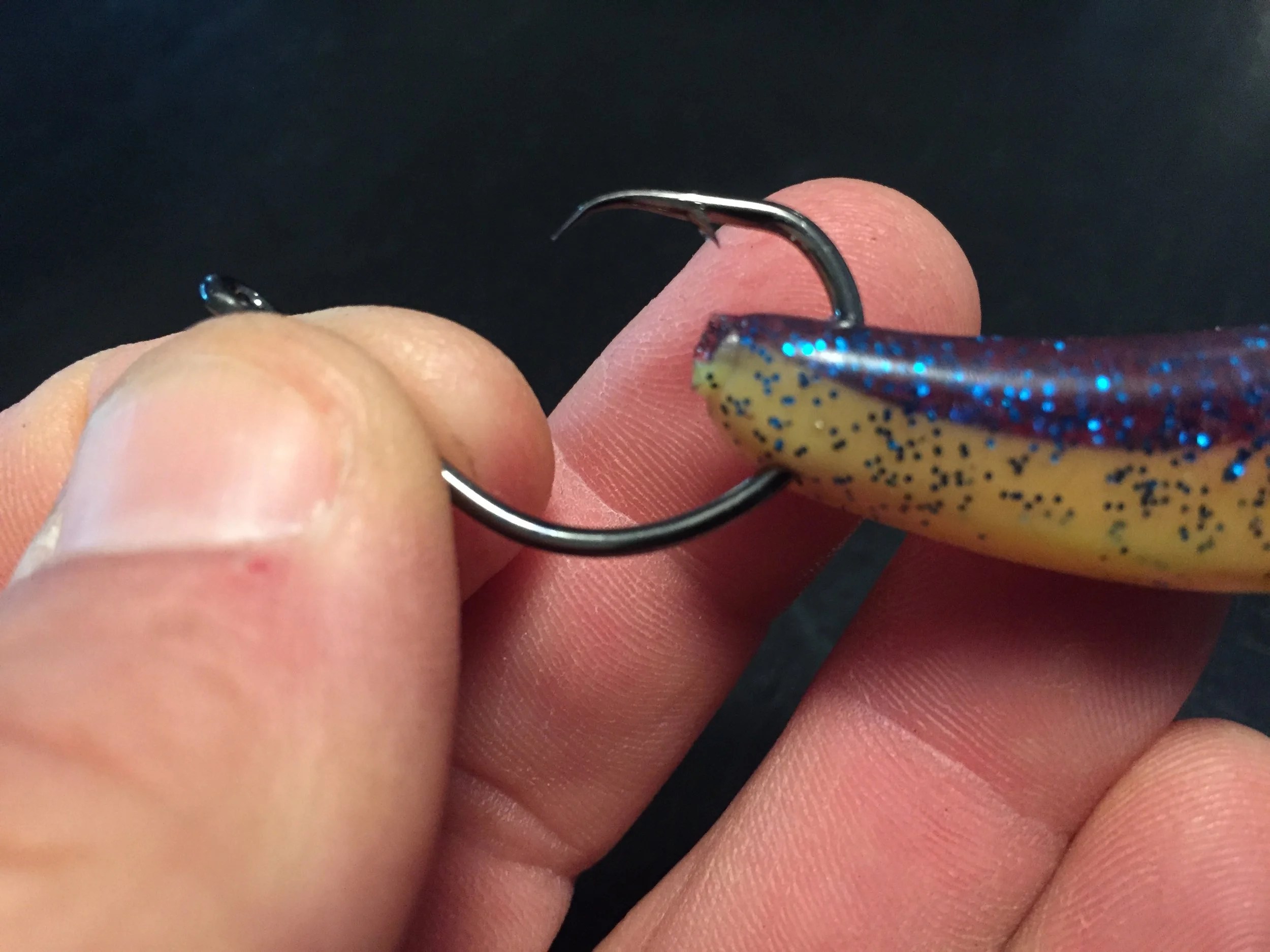 Circle Hooks And Soft Plastics — Saltwater Experience Fishing