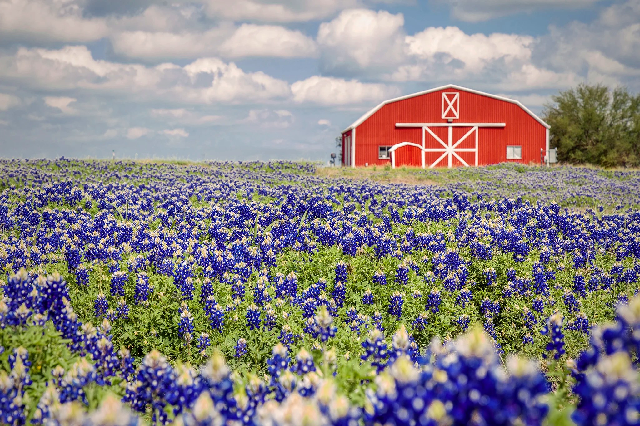 Where to See the Best in 2018 — Jason Weingart Photography