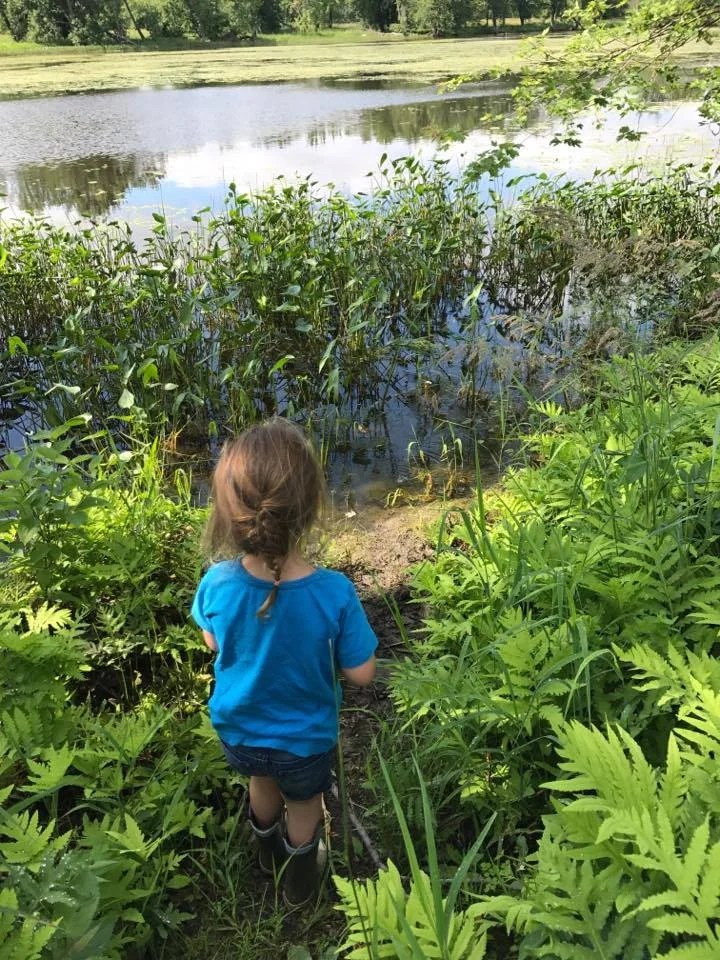 Petrie Island after the flood — Kids in the Capital
