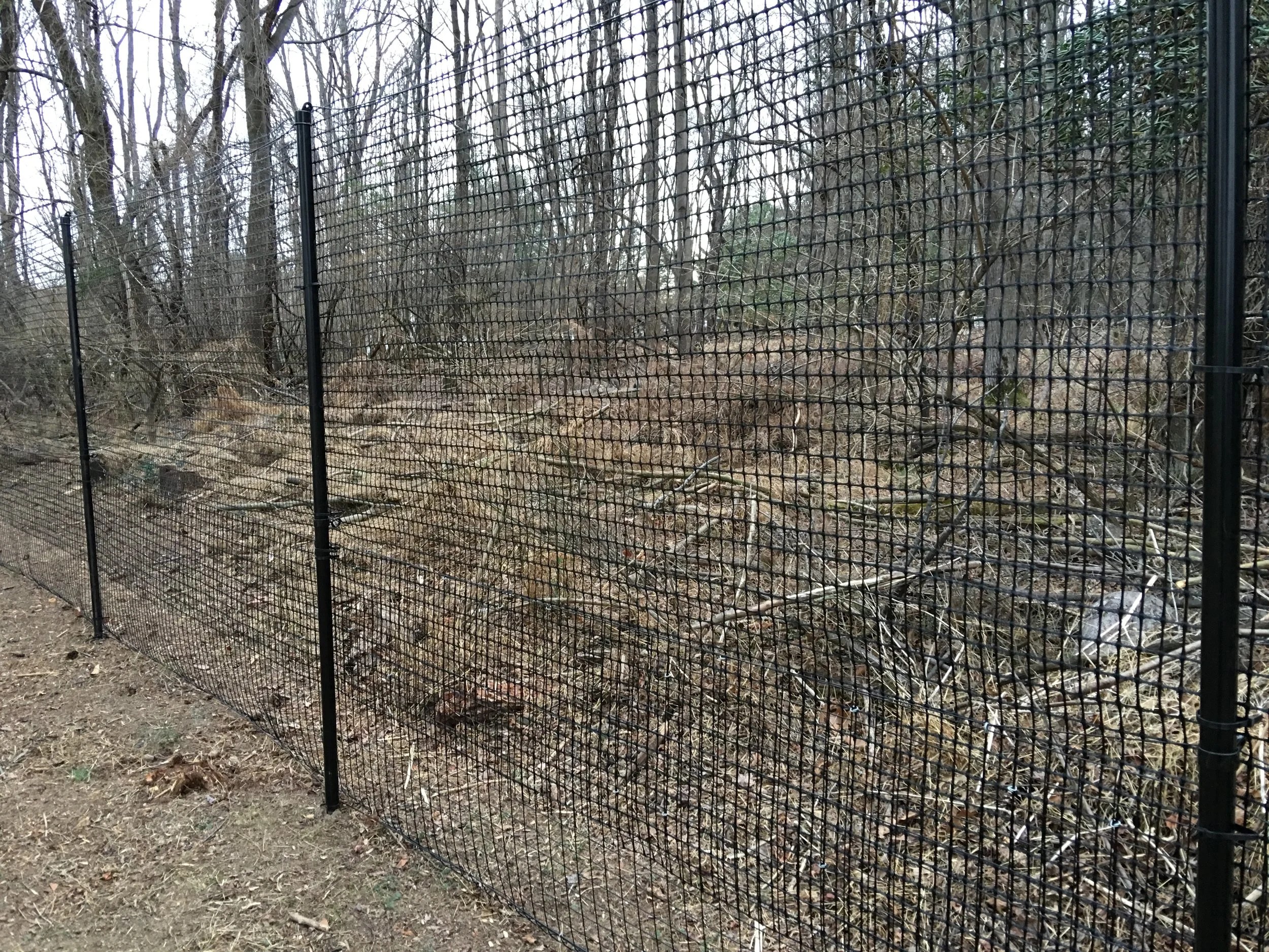 Super Duty Deer Fence in Action — The Benner Deer Fence Company