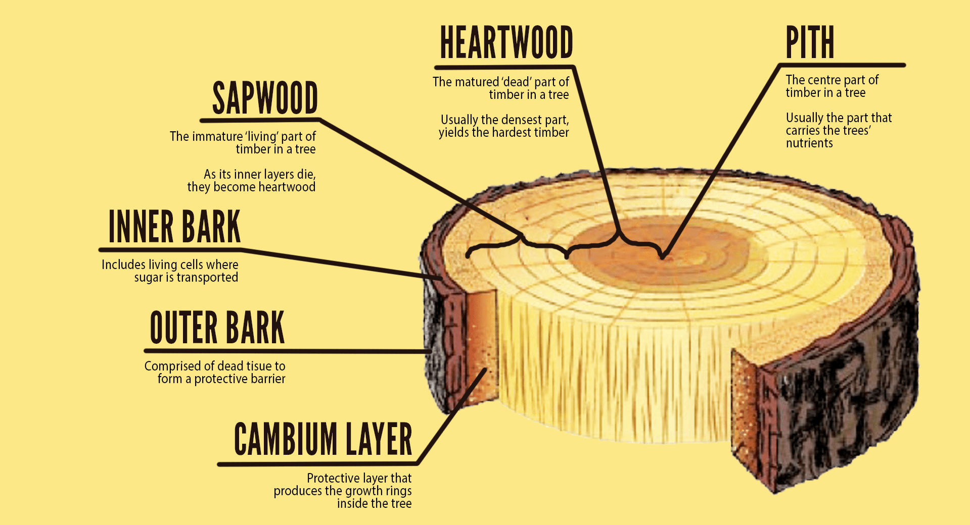 8 STEPS YOU NEED TO KNOW BEFORE PURCHASING RECYCLED TIMBER — Lohas