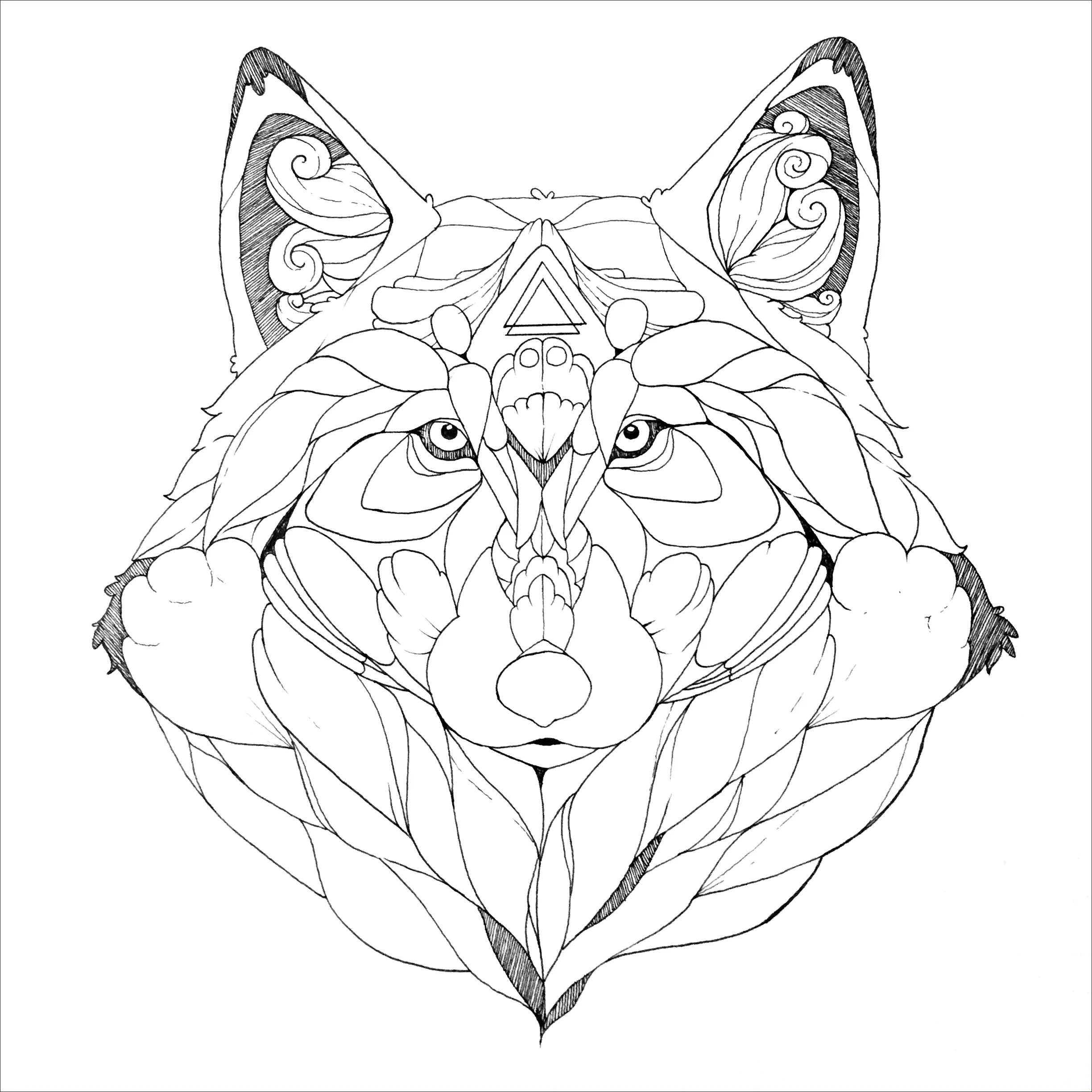 Arctic Peace of Mind ny bok fra Utenfor Allfarvei i juni — UTENFOR