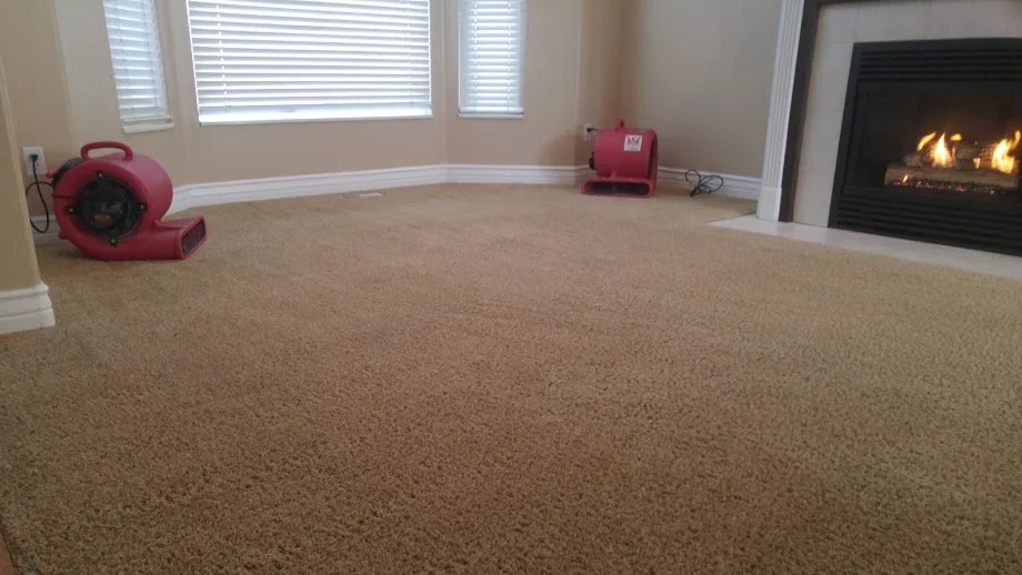 Carpet cleaning in Utah — Alpine Professional Carpet Care