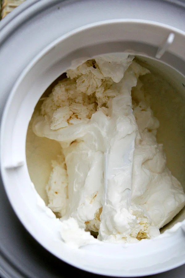 What Happens When you Put Whipped Cream in an Ice Cream Maker? — CakeSpy