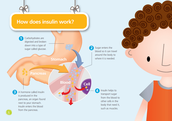 diabetes not just 'a touch of sugar' — THE WHOLESOME