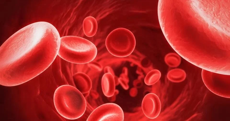 Stem Cells For Arthritis Are They the Real Deal for My Knee? — The