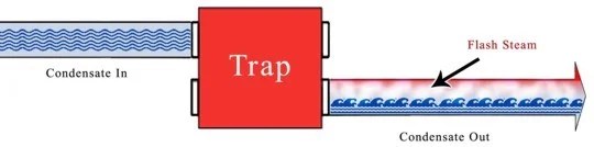 Steam Basics Part 7 How to Size Condensate Pipe