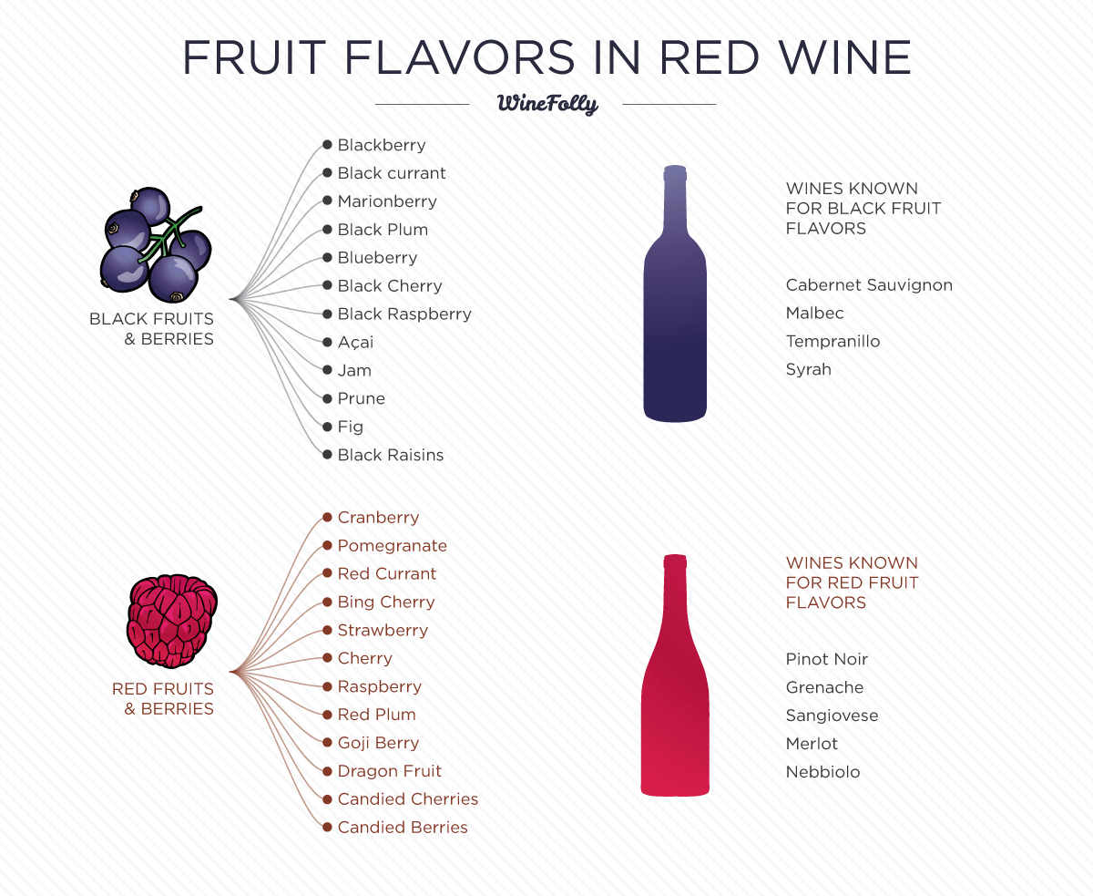 Wine Folly Identifying Fruit Flavors in Wine — Wine Tourist Magazine