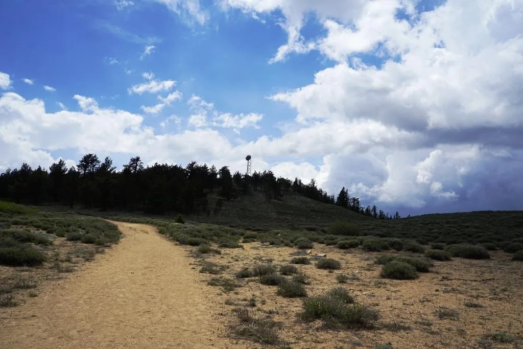 Mount Pinos in the Los Padres National Forest is the Highest Point in