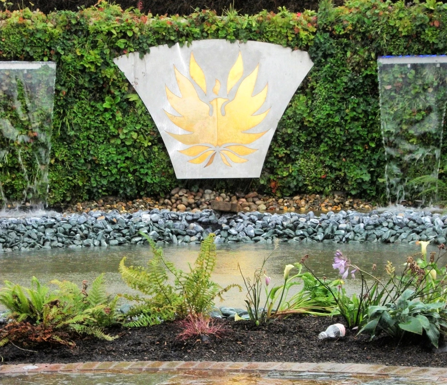 Living Walls and Vertical Planting Design — Amazon Landscaping