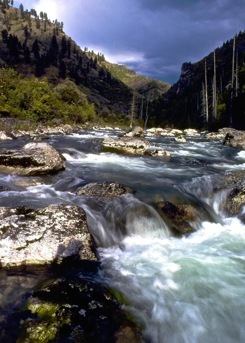 Federal judge grants emergency protection for Selway River — Idaho